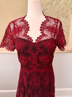 NWT Red Lace Evening Gown by Catherine Deane